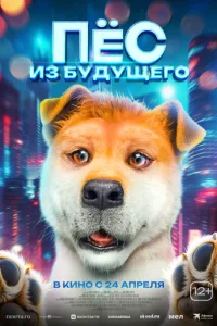 Ոojknojk стojkvnl с010c9ojkk0il1