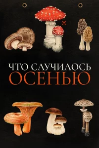 Ӵт0 сvnlychcuvnl0сb 0сekvjbю